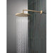RP6025CZPR Parts & Maintenance/Bathtub & Shower Parts/Shower Arms
