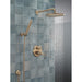 RP6025CZPR Parts & Maintenance/Bathtub & Shower Parts/Shower Arms