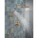 RP6025CZPR Parts & Maintenance/Bathtub & Shower Parts/Shower Arms