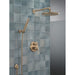 RP6025CZPR Parts & Maintenance/Bathtub & Shower Parts/Shower Arms