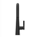 GT529-ASRB Kitchen/Kitchen Faucets/Pull Down Spray Faucets