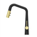 GT529-ASRBBG Kitchen/Kitchen Faucets/Pull Down Spray Faucets