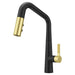 GT529-ASRBBG Kitchen/Kitchen Faucets/Pull Down Spray Faucets