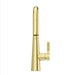 GT529-ASRBG Kitchen/Kitchen Faucets/Pull Down Spray Faucets