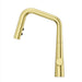 GT529-ASRBG Kitchen/Kitchen Faucets/Pull Down Spray Faucets
