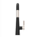 GT529-ASRBGS Kitchen/Kitchen Faucets/Pull Down Spray Faucets
