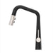 GT529-ASRBGS Kitchen/Kitchen Faucets/Pull Down Spray Faucets