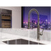 GT529-BRUS Kitchen/Kitchen Faucets/Semi-Professional Faucets