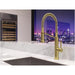 GT529-BRUBG Kitchen/Kitchen Faucets/Semi-Professional Faucets