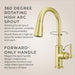 GT529-TDBG Kitchen/Kitchen Faucets/Pull Down Spray Faucets