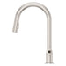 GT529-TNTGS Kitchen/Kitchen Faucets/Pull Down Spray Faucets