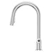GT529-TNTC Kitchen/Kitchen Faucets/Pull Down Spray Faucets