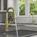 GT572-TDBG Kitchen/Kitchen Faucets/Pull Down Spray Faucets