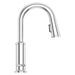 GT572-TDC Kitchen/Kitchen Faucets/Pull Down Spray Faucets