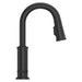 GT572-TDY Kitchen/Kitchen Faucets/Pull Down Spray Faucets