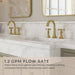 LG49-TB0TCBG Bathroom/Bathroom Sink Faucets/Widespread Sink Faucets