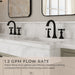 LG49-TB0TCSDB Bathroom/Bathroom Sink Faucets/Widespread Sink Faucets