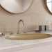 LG49-TNT3D Bathroom/Bathroom Sink Faucets/Widespread Sink Faucets