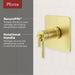 R89-HLSBG Bathroom/Bathroom Tub & Shower Faucets/Shower Only Faucet Trim