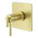 R89-HLSBG Bathroom/Bathroom Tub & Shower Faucets/Shower Only Faucet Trim