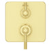 R89-SHLSBG Bathroom/Bathroom Tub & Shower Faucets/Shower Only Faucet Trim