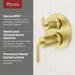 R89-STNTBG Bathroom/Bathroom Tub & Shower Faucets/Shower Only Faucet Trim