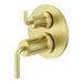 R89-STNTBG Bathroom/Bathroom Tub & Shower Faucets/Shower Only Faucet Trim