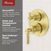 R89-SWNBG Bathroom/Bathroom Tub & Shower Faucets/Shower Only Faucet Trim