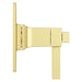 R89-VRVBG Bathroom/Bathroom Tub & Shower Faucets/Shower Only Faucet Trim
