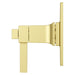 R89-VRVBG Bathroom/Bathroom Tub & Shower Faucets/Shower Only Faucet Trim