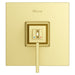 R89-VRVBG Bathroom/Bathroom Tub & Shower Faucets/Shower Only Faucet Trim