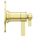 R89-WNBG Bathroom/Bathroom Tub & Shower Faucets/Shower Only Faucet Trim