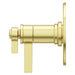 R89-WNBG Bathroom/Bathroom Tub & Shower Faucets/Shower Only Faucet Trim