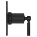 R89-1HLSB Bathroom/Bathroom Tub & Shower Faucets/Shower Only Faucet Trim