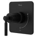 R89-1HLSB Bathroom/Bathroom Tub & Shower Faucets/Shower Only Faucet Trim