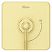 R89-1HLSBG Bathroom/Bathroom Tub & Shower Faucets/Shower Only Faucet Trim