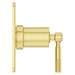 R89-1HLSBG Bathroom/Bathroom Tub & Shower Faucets/Shower Only Faucet Trim