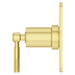 R89-1HLSBG Bathroom/Bathroom Tub & Shower Faucets/Shower Only Faucet Trim
