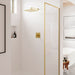 R89-1HLSBG Bathroom/Bathroom Tub & Shower Faucets/Shower Only Faucet Trim