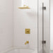 R89-1HLSBG Bathroom/Bathroom Tub & Shower Faucets/Shower Only Faucet Trim