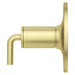 R891-TNTBG Bathroom/Bathroom Tub & Shower Faucets/Shower Only Faucet Trim