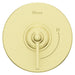 R891-WNBG Bathroom/Bathroom Tub & Shower Faucets/Shower Only Faucet Trim