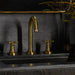 106238GN00 Parts & Maintenance/Bathroom Sink & Faucet Parts/Bathroom Sink Faucet Handles & Handle Parts