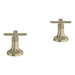106254EN00 Parts & Maintenance/Bathroom Sink & Faucet Parts/Bathroom Sink Faucet Handles & Handle Parts