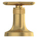 106254GN00 Parts & Maintenance/Bathroom Sink & Faucet Parts/Bathroom Sink Faucet Handles & Handle Parts
