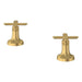 106254GN00 Parts & Maintenance/Bathroom Sink & Faucet Parts/Bathroom Sink Faucet Handles & Handle Parts