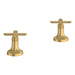 106254GN00 Parts & Maintenance/Bathroom Sink & Faucet Parts/Bathroom Sink Faucet Handles & Handle Parts
