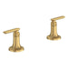 106257GN00 Parts & Maintenance/Bathroom Sink & Faucet Parts/Bathroom Sink Faucet Handles & Handle Parts