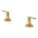 106270GN00 Parts & Maintenance/Bathroom Sink & Faucet Parts/Bathroom Sink Faucet Handles & Handle Parts