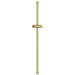 26924GN1 Bathroom/Bathroom Tub & Shower Faucets/Handshower Slide Bars & Accessories